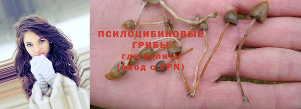 мдпв Заволжск