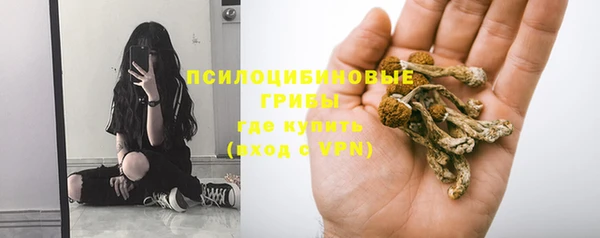 мдпв Заволжск