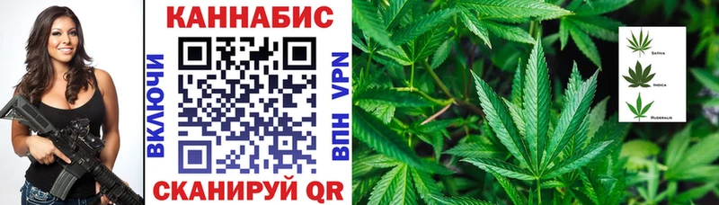 Марихуана Bruce Banner Тосно